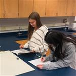Advanced Placement